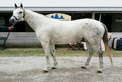 �����¡�������� ����