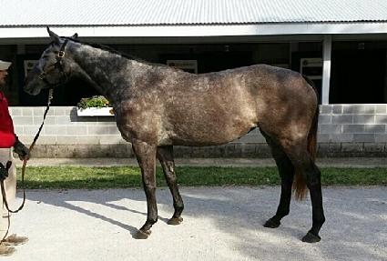 �������� ����