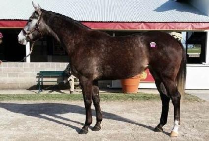 ���׼�����Ʈ ����