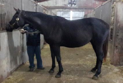 �����ξ�ƼƩ�� ����