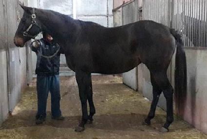 ����νŵ� ����