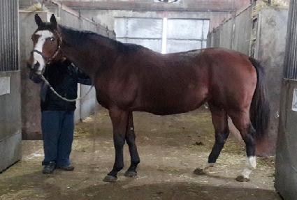 �ű״��Ǽ��̹��� ����