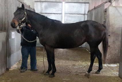 �ǹ����μ� ����