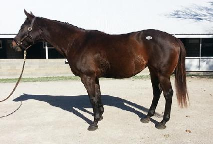 ��������� ����