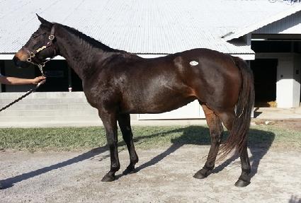 Ȧ�������� ����