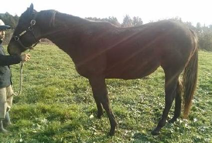 ������ġ ����