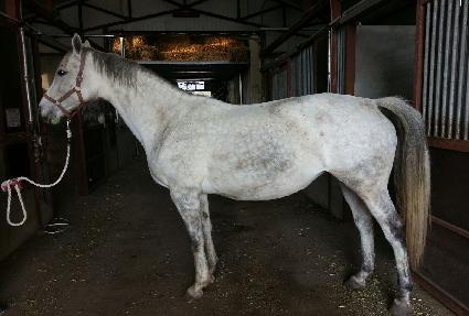 ���º� ����