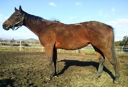 �ε�𸱸� ����