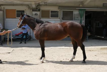 ���� ����