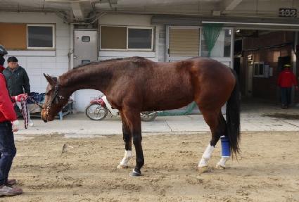 ���̲޳��� ����