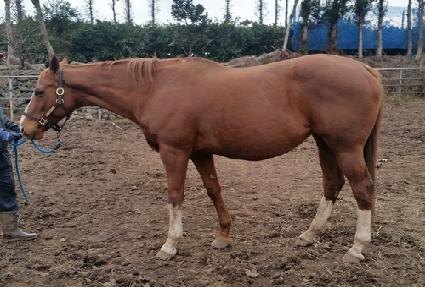 �ɽ��޽� ����