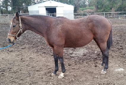 �齺��Ȧ ����