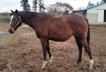 ����ġ ����