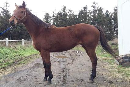 �����۵� ����