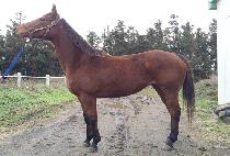 ���̾�Ʈ�������� (QUIET APRIL) ����