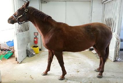 ��Ű�� ����