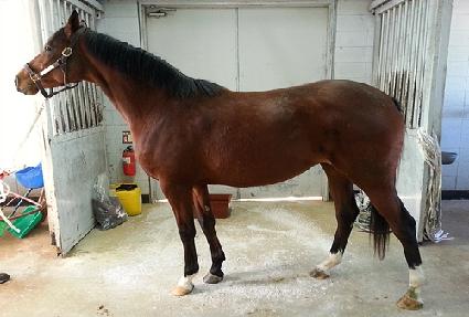 ��Ŭ������ ����