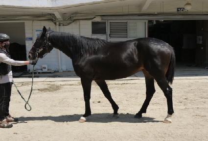 �������Ŀ� ����