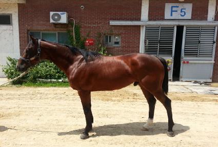 ����¡���� ����