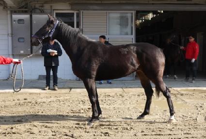 �±��� ����