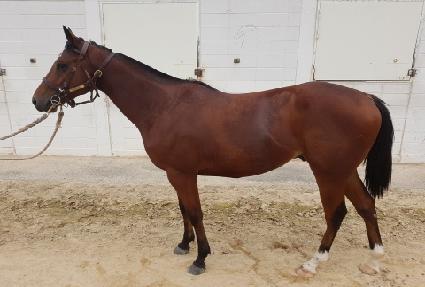 ŷ���̾� ����