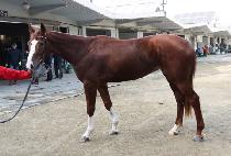 �ٷ��� (DARAERANG) ����