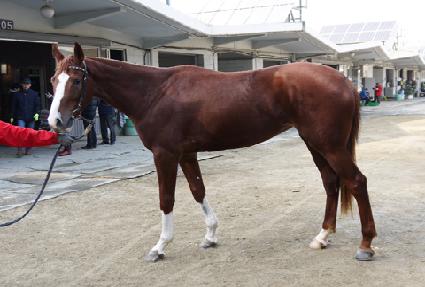 �ٷ��� ����