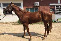 �������� (GANGJA JIJON) ����