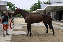 �ӷ�� (MEORURANG) ����