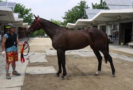 �ӷ�� ����