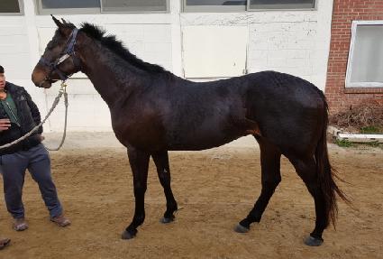 ���Ǽ������� ����