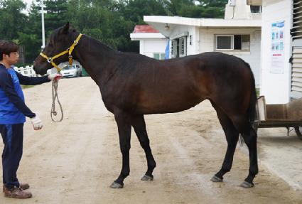 �۷θ���ġ ����