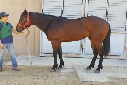 ������ ����