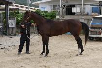 ������ĵ (YES YOU CAN) ����