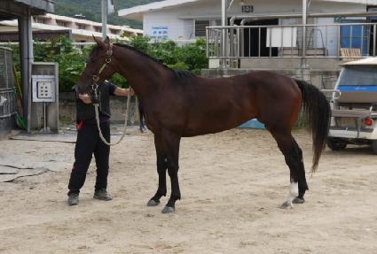 ������ĵ ����