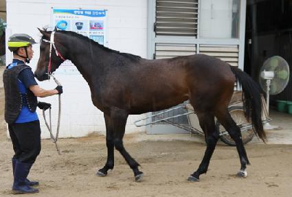 ���̳�Ÿ�� ����