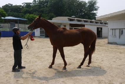 ���������� ����