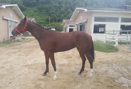 ����Ʈǻ�� ����