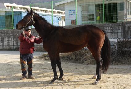 ����ü ����