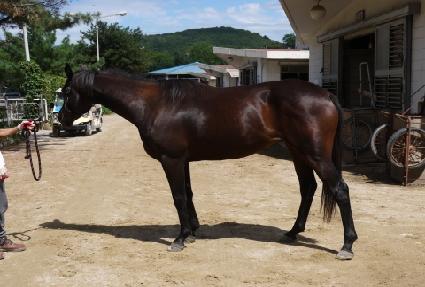 Ʈ������ ����