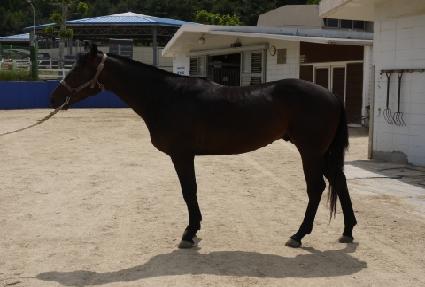 ����� ����