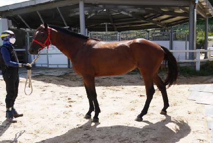 �˴��Ŀ� ����