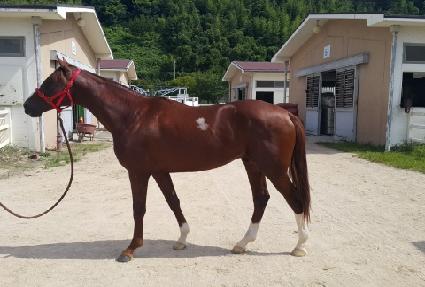 ����Ʈ ����