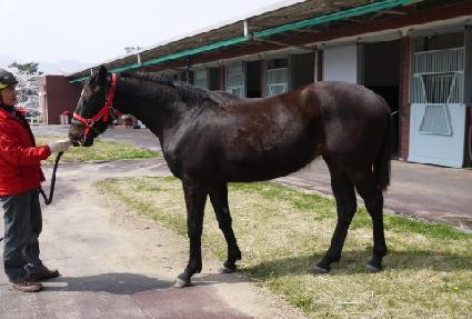 �����ġ ����