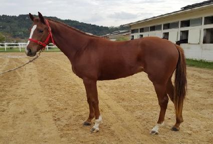 ������� ����