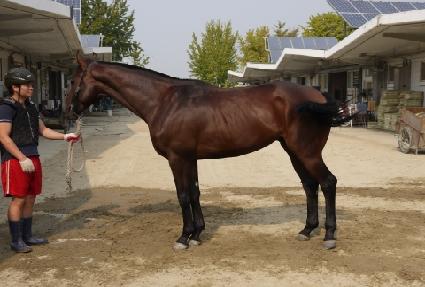 õ������ ����