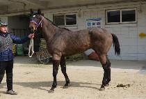 ��Ŭ����ǻ�� (ECLAIR PURE) ����