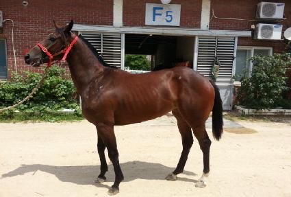 ���̽��Ǽ��� ����