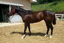 ������� (YEONGNAM DAERO) ����