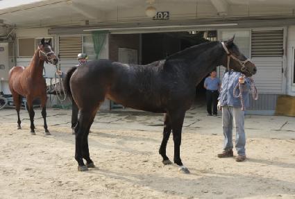 ����Ÿ�̰� ����